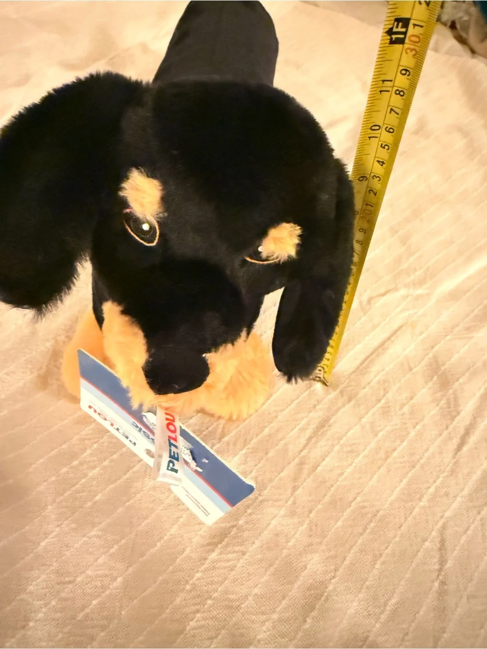 Plush Dachshund Dog Toy - Black and Tan - Soft Squeaky Comfort